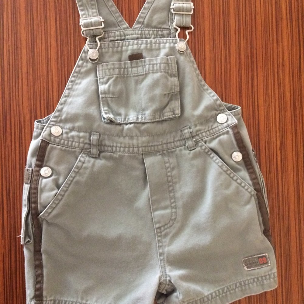 The Children's Place Overall Shorts (18M)